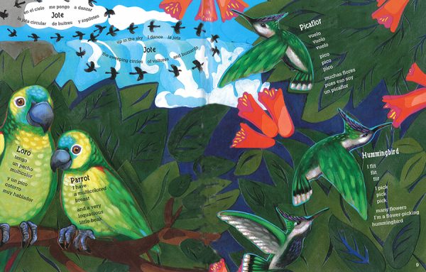 Interior spread #3 for Animal Poems of the Iguazú / Animalario del Iguazú by Francisco X. Alarcón and Maya Gonzalez