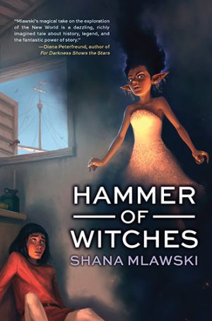 Front cover for Hammer of Witches by Seth Mlawski