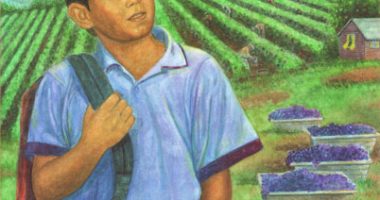 Front cover for First Day in Grapes by L. King Perez and Robert Casilla