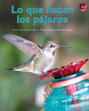 Front cover for Lo que hacen los pájaros by Elena Castro; Barbara Flores; Eddie Hernandez