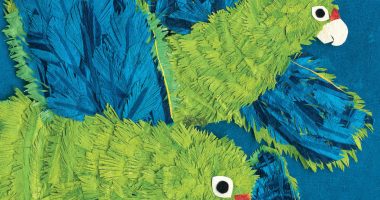 Front cover for Cotorras sobre Puerto Rico by Susan L. Roth; Cindy Trumbore and Susan L. Roth