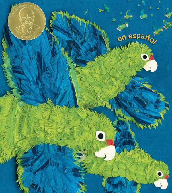 Front cover for Cotorras sobre Puerto Rico by Susan L. Roth; Cindy Trumbore and Susan L. Roth