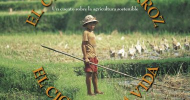 Front cover for El ciclo del arroz, el ciclo de la vida by Jan Reynolds and Jan Reynolds