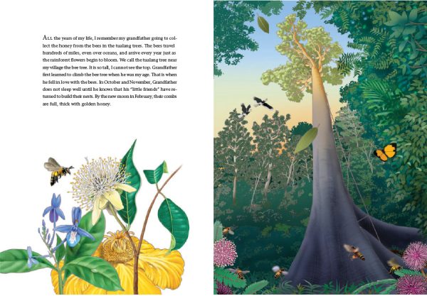 Interior spread #2 for The Bee Tree by Diana Cohn; Diana Cohn and Paul Mirocha