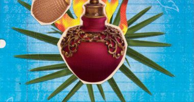 Front cover for Olor a perfume de viejita by Claudia Guadalupe Martínez; Luis Humberto Crosthwaite