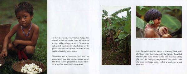 Interior spread #1 for Vanishing Cultures: Amazon Basin by Jan Reynolds and Jan Reynolds