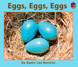 Front cover for Eggs, Eggs, Eggs by Aamir Lee Bermiss