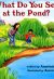 Front cover for What Do You See at the Pond? by Anastasia Suen and Aaron Boyd