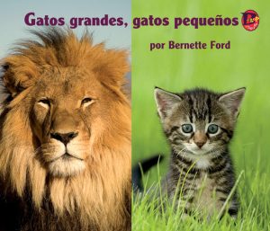 Front cover for Gatos grandes, gatos pequeños by Bernette Ford