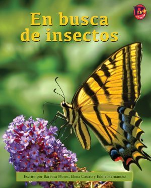 Front cover for En busca de insectos by Barbara Flores; Elena Castro; Eddie Hernández