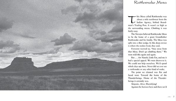 Interior spread #3 for Rattlesnake Mesa by Ednah New Rider Weber and Richela Renkun