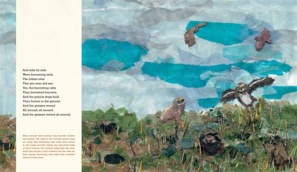 Interior spread #3 for Prairie Dog Song by Susan L. Roth; Cindy Trumbore and Susan L. Roth