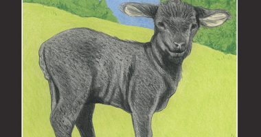 Front cover for Black Sheep by Barbara M. Flores; Elena Castro; Eddie Hernández and Michael Ramirez; Mary Ramírez-Greene
