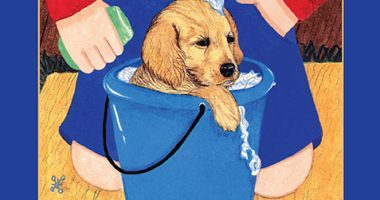 Front cover for My Chores by Elena Castro; Barbara Flores; Eddie Hernandez and Michael Ramirez