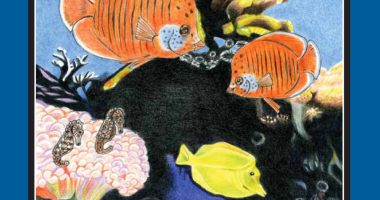 Front cover for Animals at the Aquarium by Elena Castro; Barbara Flores; Eddie Hernandez and Michael Ramirez; Mary Ramírez-Greene