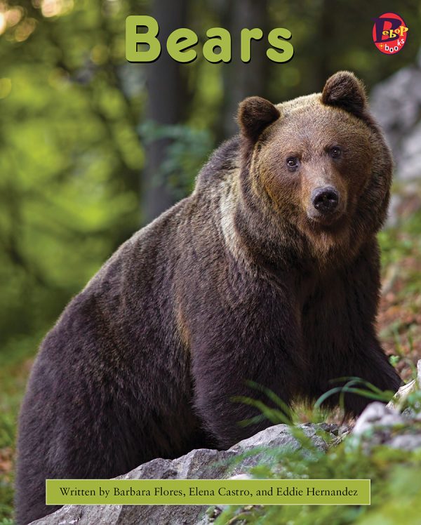 Front cover for Bears by Barbara Flores; Elena Castro; Eddie Hernández