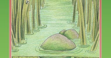 Front cover for The Tadpole by Barbara M. Flores; Barbara M. Flores; Eddie Hernández and Michael Ramirez