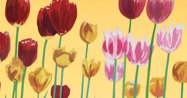 Front cover for Springtime by Barbara M. Flores; Elena Castro; Eddie Hernández and Michael Ramirez