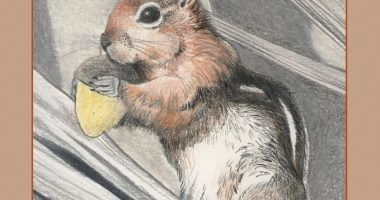 Front cover for In the Forest by Barbara Flores; Elena Castro; Eddie Hernández and Michael Ramirez