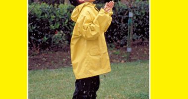 Front cover for La lluvia cae by Christine Taylor-Butler