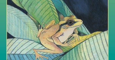 Front cover for The Coquí by Barbara M. Flores; Elena Castro; Eddie Hernández and Michael Ramirez