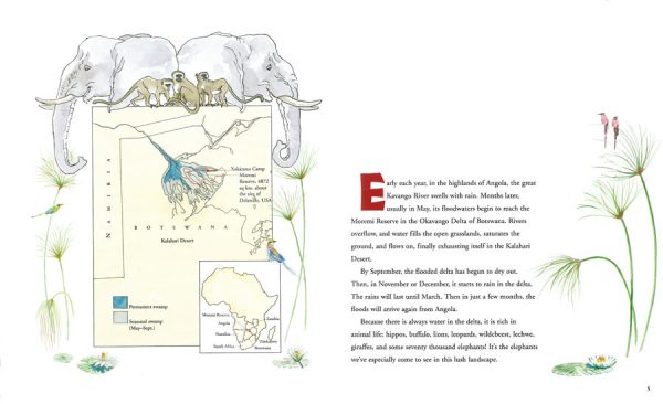 Interior spread #3 for Elephant Quest by Betsy Lewin; Ted Lewin and Betsy Lewin; Ted Lewin