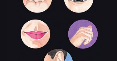 Front cover for Mis cinco sentidos by Elena Castro; Barbara Flores; Eddie Hernandez and Mary Ramírez-Greene