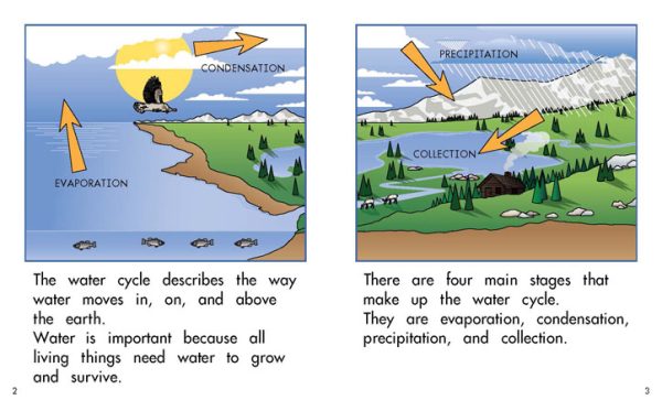 Interior spread #2 for The Water Cycle by Barbara Flores; Elena Castro; Eddie Hernández