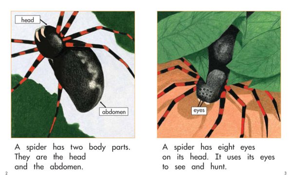 Interior spread #2 for A Spider's Body by Elena Castro; Barbara Flores; Eddie Hernandez and Michael Ramirez; Mary Ramírez-Greene