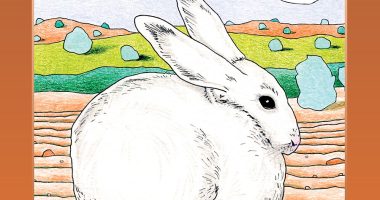 Front cover for The Magic Rabbit by Elena Castro; Barbara Flores; Eddie Hernandez and Mary Ramírez-Greene