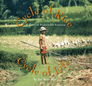 Front cover for Cycle of Rice, Cycle of Life by Jan Reynolds and Jan Reynolds