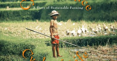 Front cover for Cycle of Rice, Cycle of Life by Jan Reynolds and Jan Reynolds