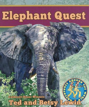 Front cover for Elephant Quest by Betsy Lewin; Ted Lewin and Betsy Lewin; Ted Lewin