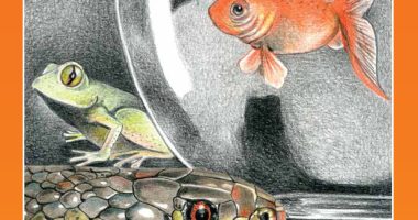 Front cover for Mis mascotas by Elena Castro; Barbara Flores; Eddie Hernandez and Michael Ramirez; Mary Ramírez-Greene