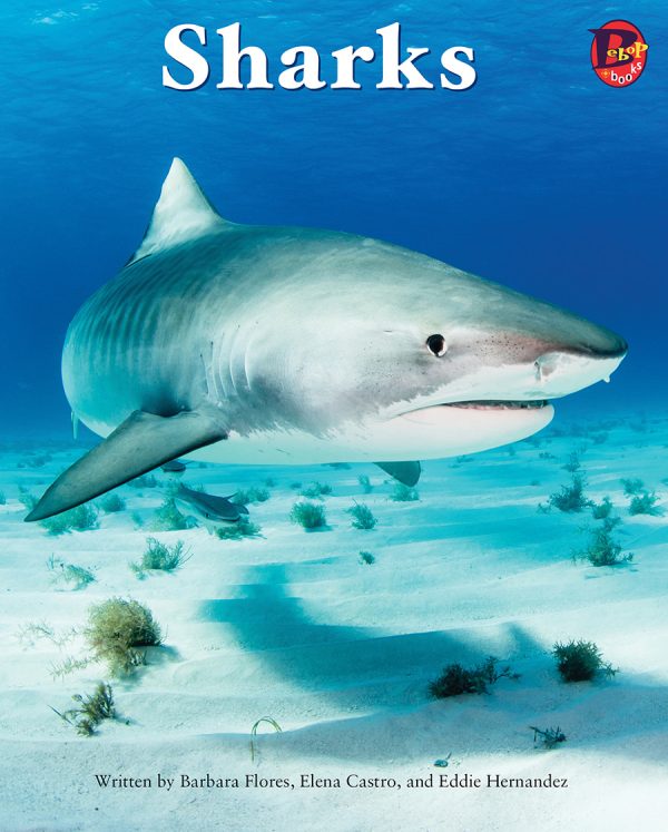 Front cover for Sharks by Barbara Flores; Elena Castro; Eddie Hernández