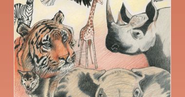 Front cover for ¿Qué soy? by Barbara M. Flores; Barbara M. Flores; Eddie Hernández and Michael Ramirez