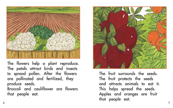 Interior spread #3 for The Parts of a Plant by Barbara Flores; Elena Castro; Eddie Hernández and Michael Ramirez; Mary Ramírez-Greene