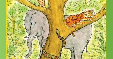 Front cover for Is the Mouse Afraid? by Elena Castro; Barbara Flores; Eddie Hernandez