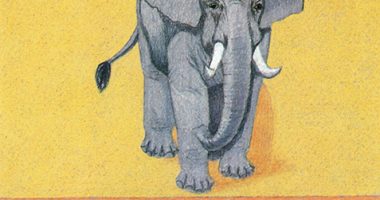 Front cover for At the Zoo by Elena Castro; Barbara Flores; Eddie Hernandez and Mary Ramírez-Greene