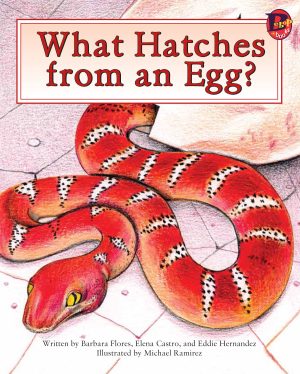 Front cover for What Hatches from an Egg? by Elena Castro; Barbara Flores; Eddie Hernández and Michael Ramirez; Mary Ramírez-Greene