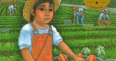 Front cover for El camino de Amelia by Linda Jacobs Altman and Enrique O. Sanchez