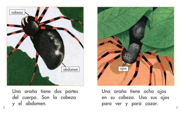 Interior spread #2 for El cuerpo de una araña by Elena Castro; Barbara Flores; Eddie Hernandez and Michael Ramirez; Mary Ramírez-Greene