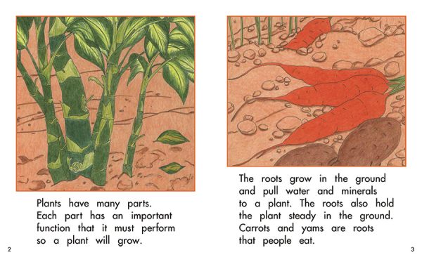 Interior spread #1 for The Parts of a Plant by Barbara Flores; Elena Castro; Eddie Hernández and Michael Ramirez; Mary Ramírez-Greene