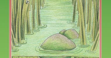 Front cover for El renacuajo by Barbara M. Flores; Elena Castro; Eddie Hernández and Michael Ramirez