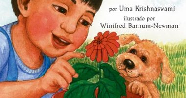 Front cover for ¡Hola, flor! by Uma Krishnaswami and Winifred Barnum-Newman