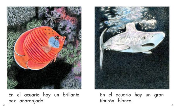 Interior spread #2 for Animales en el acuario by Elena Castro; Barbara Flores; Eddie Hernandez and Michael Ramirez; Mary Ramírez-Greene