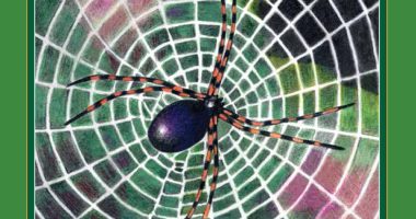 Front cover for A Spider's Body by Elena Castro; Barbara Flores; Eddie Hernandez and Michael Ramirez; Mary Ramírez-Greene