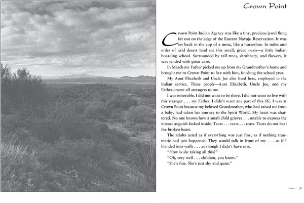 Interior spread #2 for Rattlesnake Mesa by Ednah New Rider Weber and Richela Renkun