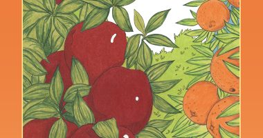 Front cover for Las partes de una planta by Barbara M. Flores; Elena Castro; Eddie Hernández and Michael Ramirez; Mary Ramírez-Greene