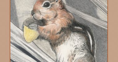 Front cover for En el bosque by Barbara M. Flores; Elena Castro; Eddie Hernández and Michael Ramirez